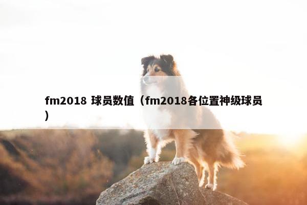 fm2018 球员数值（fm2018各位置神级球员）