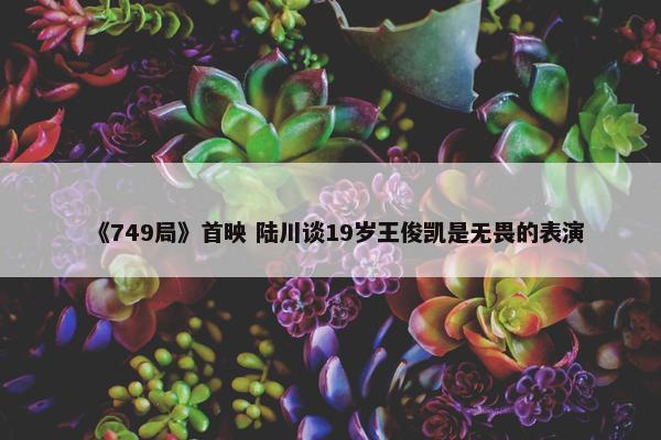 《749局》首映 陆川谈19岁王俊凯是无畏的表演