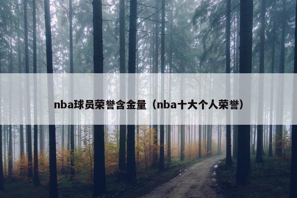 nba球员荣誉含金量（nba十大个人荣誉）