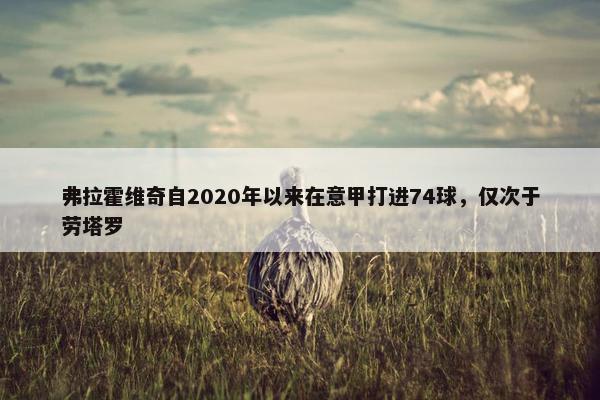 弗拉霍维奇自2020年以来在意甲打进74球，仅次于劳塔罗