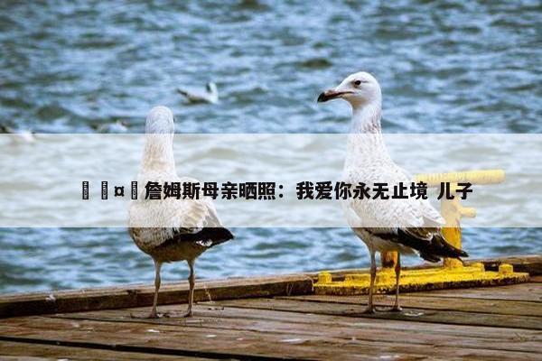 🤗詹姆斯母亲晒照：我爱你永无止境 儿子