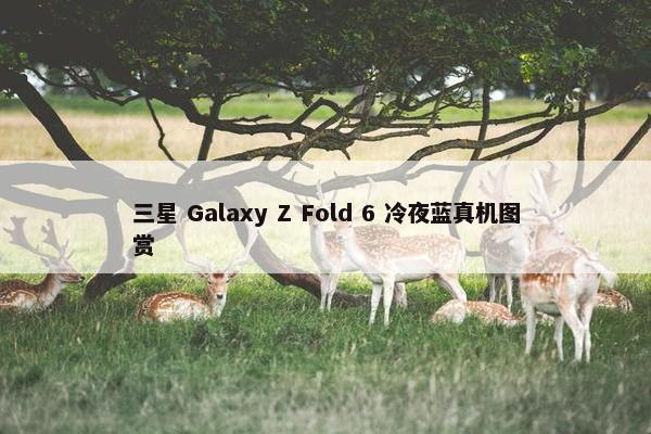 三星 Galaxy Z Fold 6 冷夜蓝真机图赏