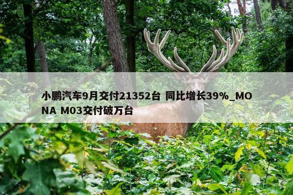 小鹏汽车9月交付21352台 同比增长39%_MONA M03交付破万台