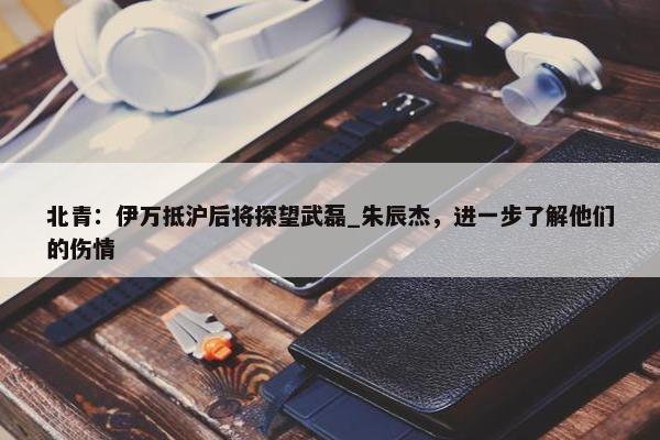 北青：伊万抵沪后将探望武磊_朱辰杰，进一步了解他们的伤情