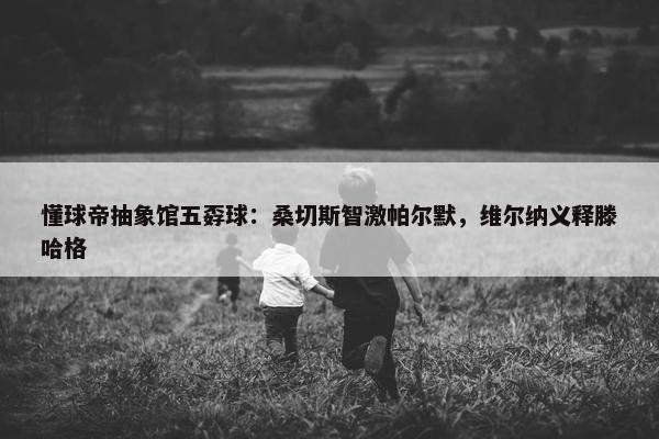 懂球帝抽象馆五孬球：桑切斯智激帕尔默，维尔纳义释滕哈格