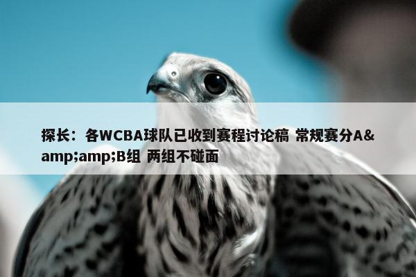 探长：各WCBA球队已收到赛程讨论稿 常规赛分A&amp;B组 两组不碰面