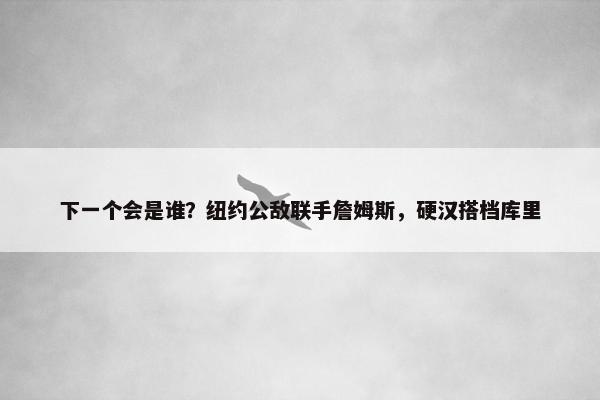 下一个会是谁？纽约公敌联手詹姆斯，硬汉搭档库里