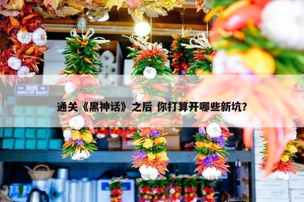 通关《黑神话》之后 你打算开哪些新坑？