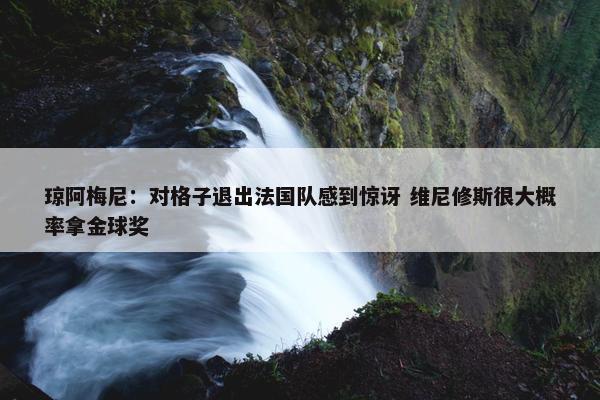 琼阿梅尼：对格子退出法国队感到惊讶 维尼修斯很大概率拿金球奖