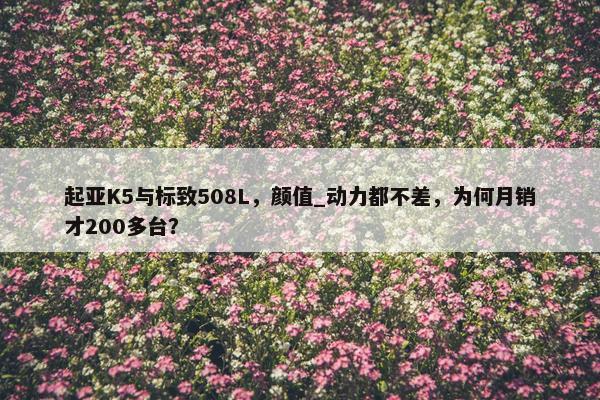 起亚K5与标致508L，颜值_动力都不差，为何月销才200多台？