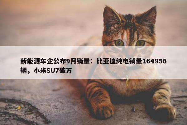 新能源车企公布9月销量：比亚迪纯电销量164956辆，小米SU7破万