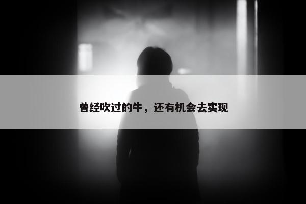 曾经吹过的牛，还有机会去实现