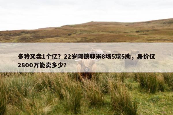 多特又卖1个亿？22岁阿德耶米8场5球5助，身价仅2800万能卖多少？