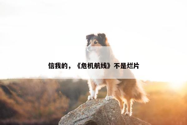 信我的，《危机航线》不是烂片