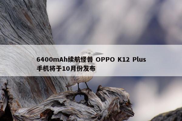 6400mAh续航怪兽 OPPO K12 Plus手机将于10月份发布