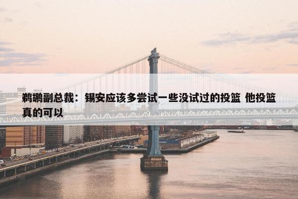 鹈鹕副总裁：锡安应该多尝试一些没试过的投篮 他投篮真的可以