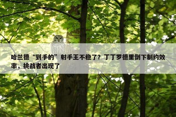 哈兰德“到手的”射手王不稳了？丁丁罗德里倒下制约效率，挑战者出现了