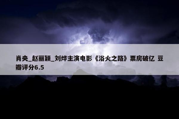 肖央_赵丽颖_刘烨主演电影《浴火之路》票房破亿 豆瓣评分6.5