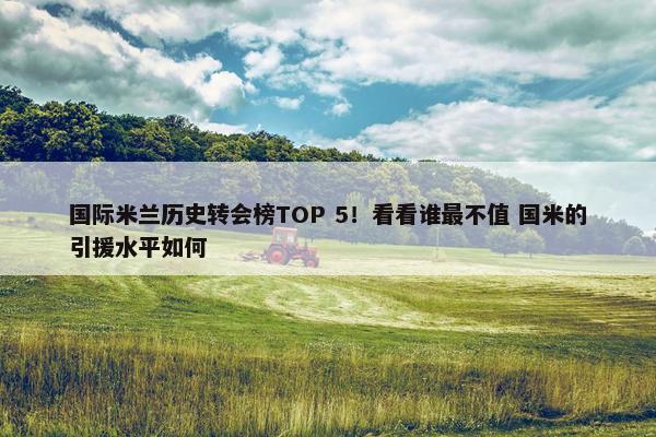 国际米兰历史转会榜TOP 5！看看谁最不值 国米的引援水平如何