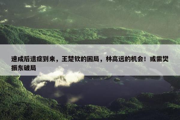 速成后遗症到来，王楚钦的困局，林高远的机会！或需樊振东破局