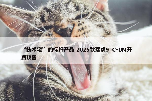 “技术宅”的标杆产品 2025款瑞虎9_C-DM开启预售