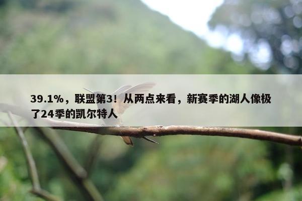 39.1%，联盟第3！从两点来看，新赛季的湖人像极了24季的凯尔特人