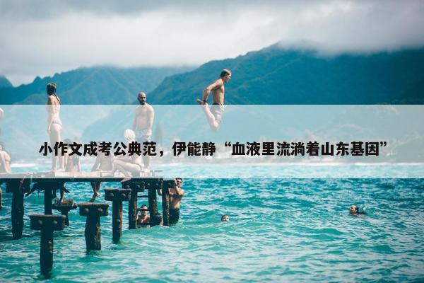 小作文成考公典范，伊能静“血液里流淌着山东基因”