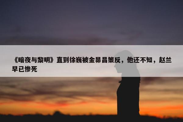 《暗夜与黎明》直到徐巍被金昴昌策反，他还不知，赵兰早已惨死