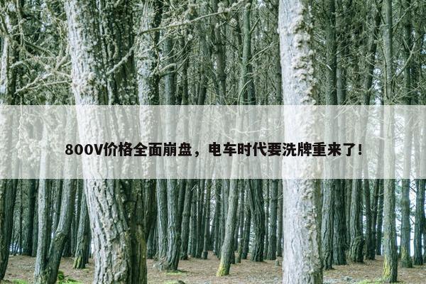 800V价格全面崩盘，电车时代要洗牌重来了！