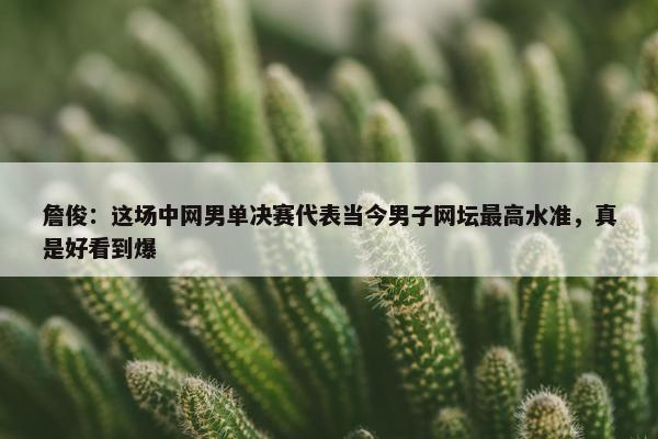 詹俊：这场中网男单决赛代表当今男子网坛最高水准，真是好看到爆