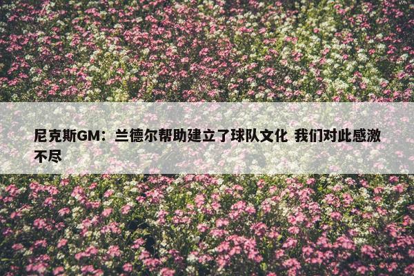 尼克斯GM：兰德尔帮助建立了球队文化 我们对此感激不尽