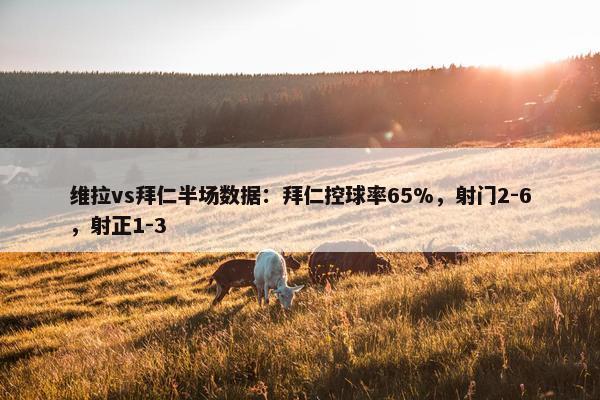 维拉vs拜仁半场数据：拜仁控球率65%，射门2-6，射正1-3