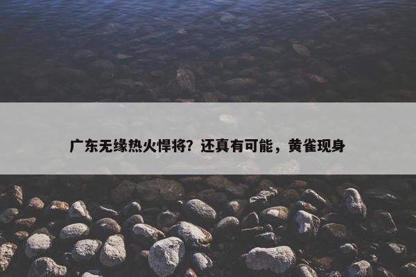 广东无缘热火悍将？还真有可能，黄雀现身