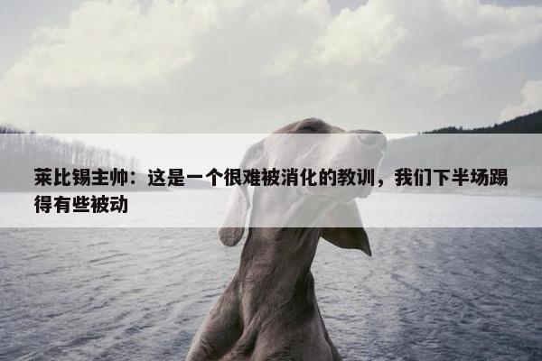 莱比锡主帅：这是一个很难被消化的教训，我们下半场踢得有些被动