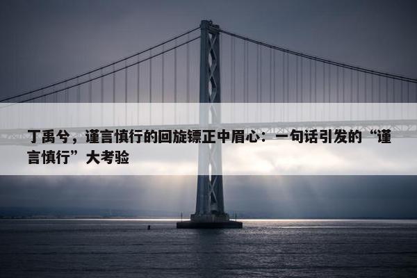 丁禹兮，谨言慎行的回旋镖正中眉心：一句话引发的“谨言慎行”大考验