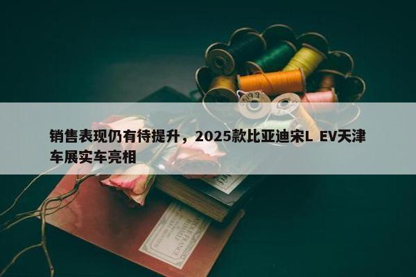 销售表现仍有待提升，2025款比亚迪宋L EV天津车展实车亮相