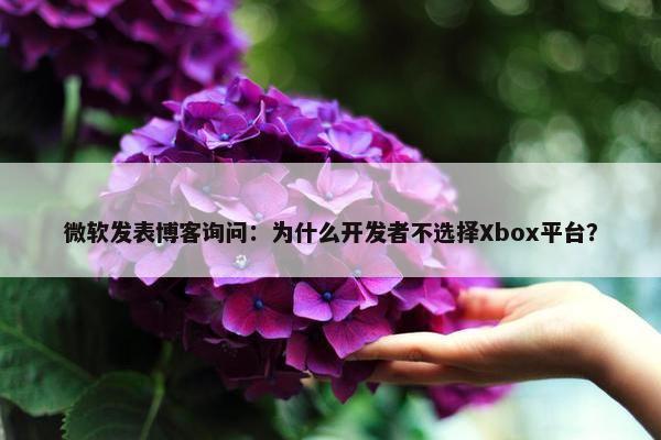 微软发表博客询问：为什么开发者不选择Xbox平台？