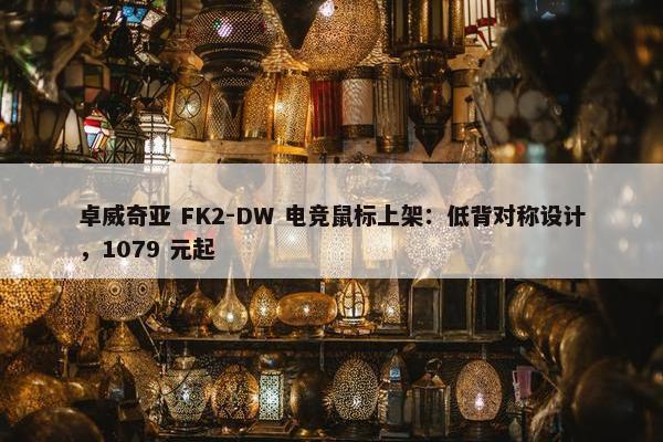 卓威奇亚 FK2-DW 电竞鼠标上架：低背对称设计，1079 元起