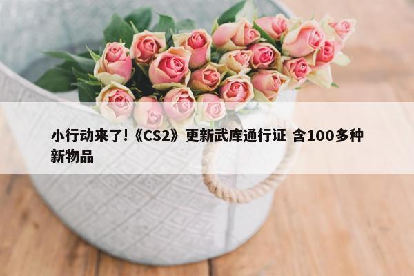 小行动来了!《CS2》更新武库通行证 含100多种新物品