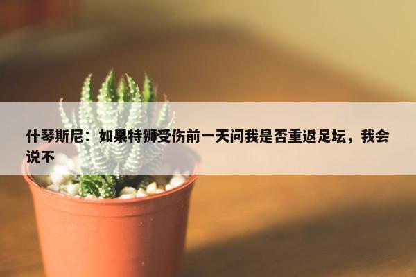 什琴斯尼：如果特狮受伤前一天问我是否重返足坛，我会说不