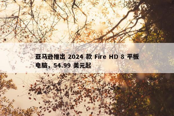 亚马逊推出 2024 款 Fire HD 8 平板电脑，54.99 美元起