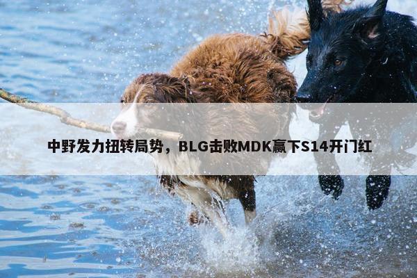 中野发力扭转局势，BLG击败MDK赢下S14开门红