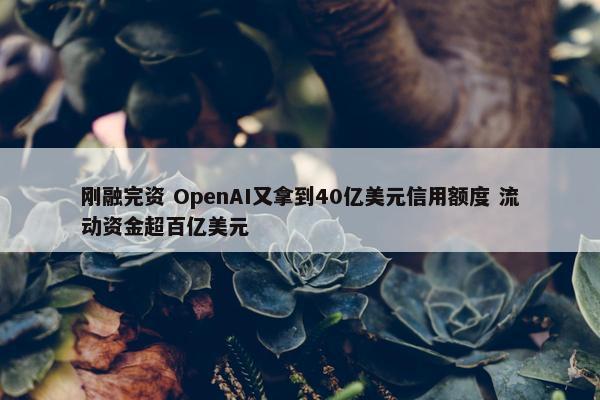 刚融完资 OpenAI又拿到40亿美元信用额度 流动资金超百亿美元