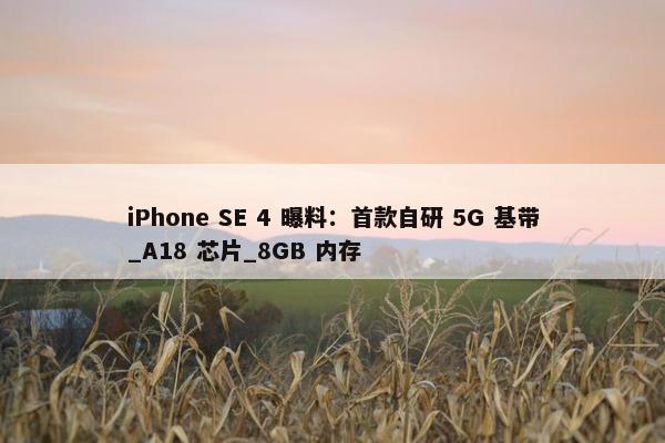 iPhone SE 4 曝料：首款自研 5G 基带_A18 芯片_8GB 内存