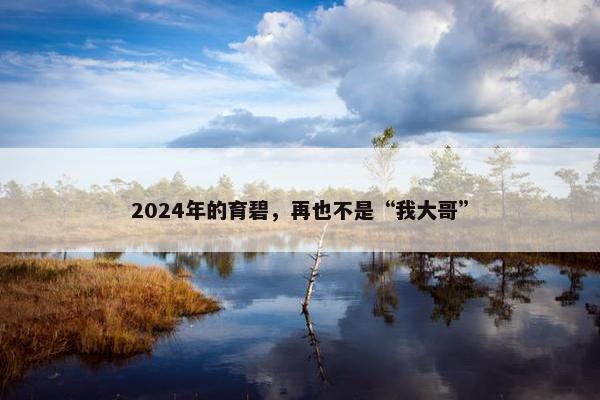 2024年的育碧，再也不是“我大哥”