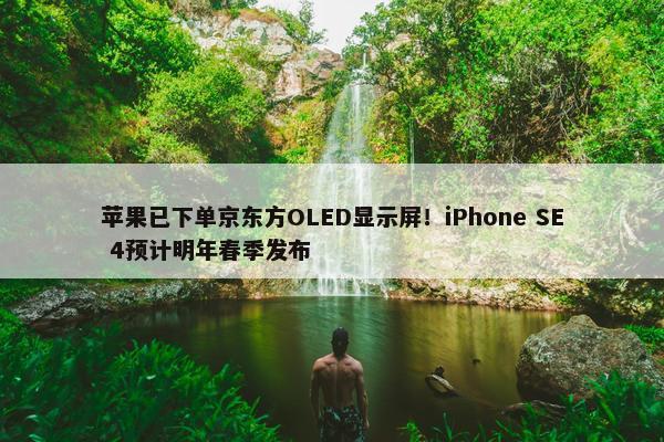 苹果已下单京东方OLED显示屏！iPhone SE 4预计明年春季发布