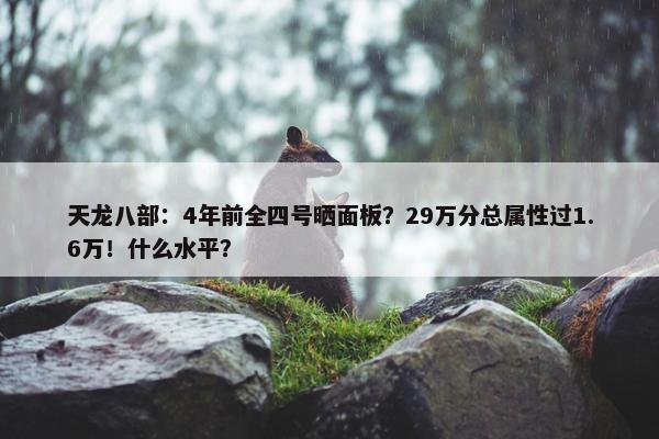 天龙八部：4年前全四号晒面板？29万分总属性过1.6万！什么水平？