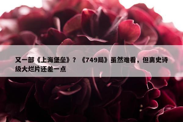 又一部《上海堡垒》？《749局》虽然难看，但离史诗级大烂片还差一点