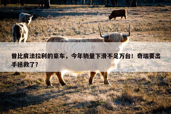 曾比肩法拉利的豪车，今年销量下滑不足万台！奇瑞要出手拯救了？