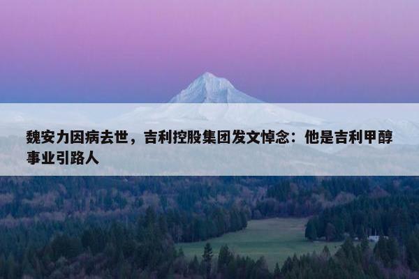 魏安力因病去世，吉利控股集团发文悼念：他是吉利甲醇事业引路人